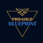 PRO-GOLD BLUEPRINT